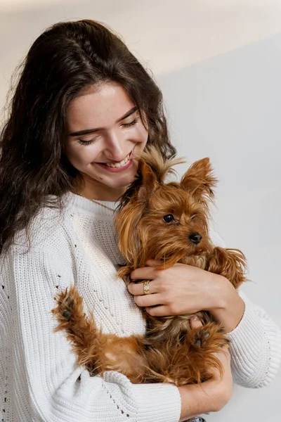 Mädchen Hält Braunen Hund Isoliert Auf Weißem Hintergrund Junge Attraktive — Stockfoto