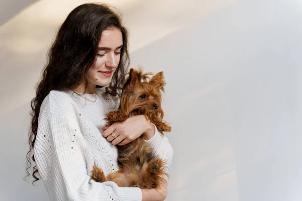 Fille Tient Chien Brun Isolé Sur Fond Blanc Jeune Femme — Photo