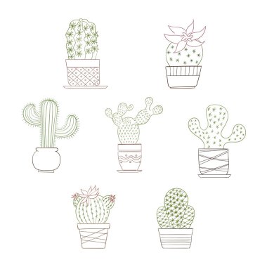 Şirin etli ya da kaktüs bitki seti.