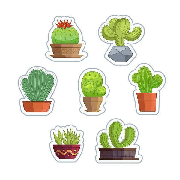 Mignon Ensemble Plantes Succulentes Cactus — Image vectorielle