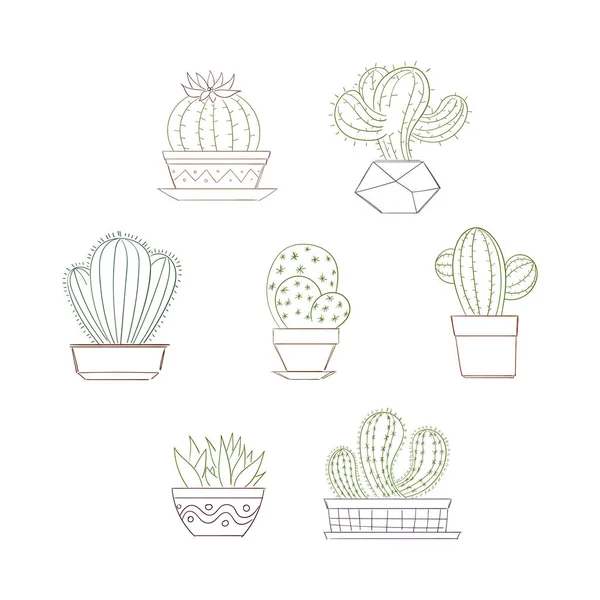 Cute Succulent Cactus Plant Set — Stock Vector