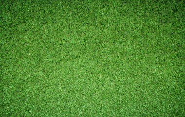 yeşil çimen dokusu arkaplanı