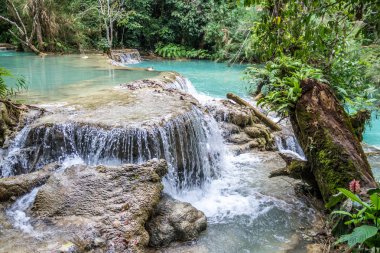 Tat Kuang Si şelaleler. Luang Prabang, Laos güzel şelaleler.