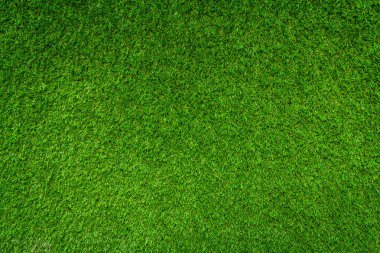 yeşil çimen dokusu arkaplanı