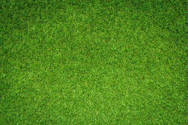 yeşil çimen dokusu arkaplanı