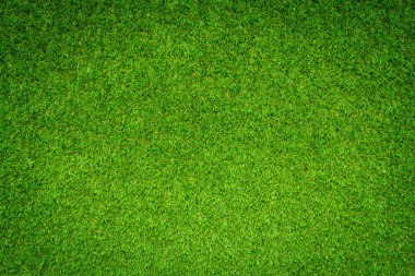 Green grass texture background clipart