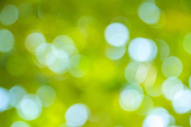 Doğal yeşil bokeh soyut arkaplan