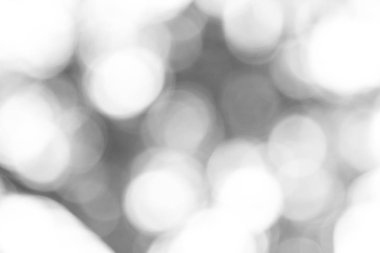 Beyaz bokeh arka plan