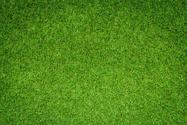 Erba Verde Texture Sfondo — Foto Stock