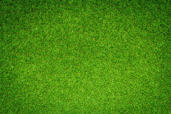 Green grass texture background