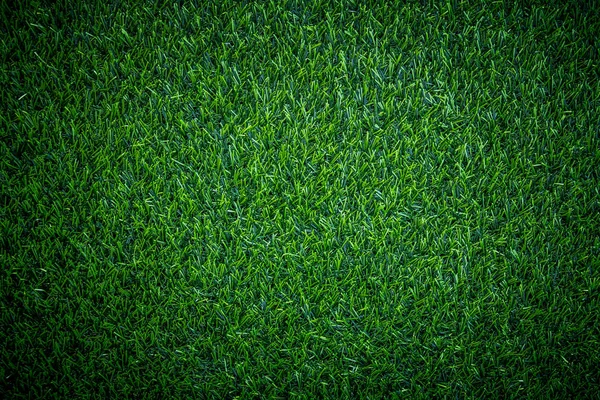 Vert Herbe Texture Fond — Photo