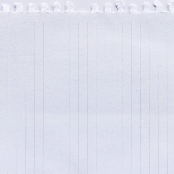 Notebook Linea Sfondo Carta — Foto Stock