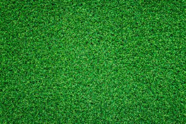 yeşil çimen dokusu ve arkaplan