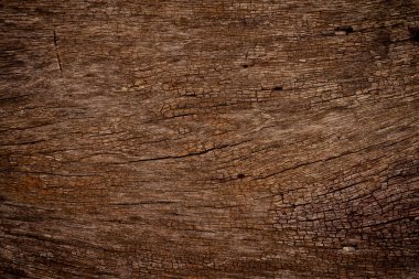 Texture of wood background clipart