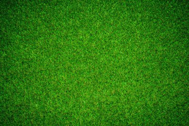 yeşil çimen dokusu ve arkaplan
