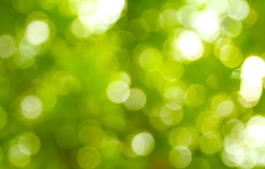 Doğal yeşil bokeh soyut arkaplan