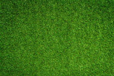 alan arka plan çim yeşil yeşillik çerçeve