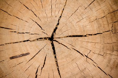 Eski ahşap doku arkaplanı 