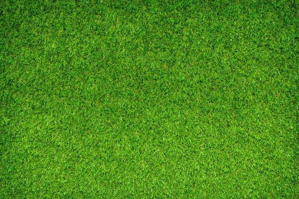 Green Field Grass Background Full Frame Foliage Texture — Stock Photo, Image