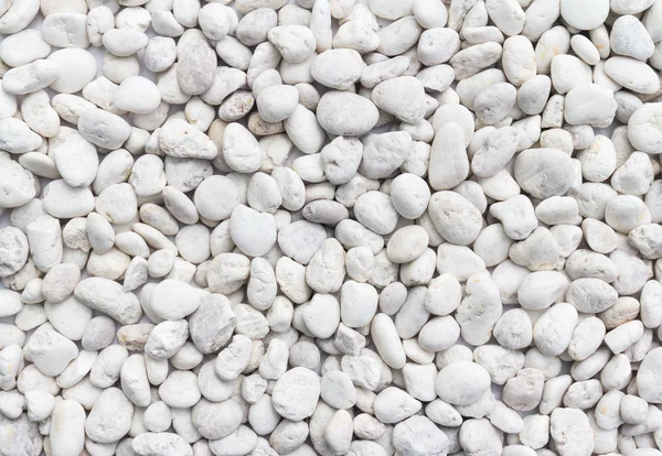 White Pebbles Stone Texture Background — Stock Photo, Image