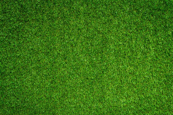 Green Field Grass Background Full Frame Foliage Texture — Stock Photo, Image