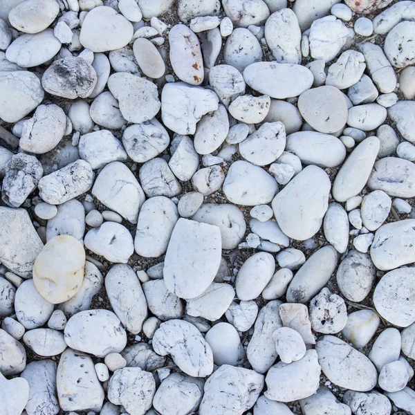 White Pebbles Stone Texture Background — Stock Photo, Image