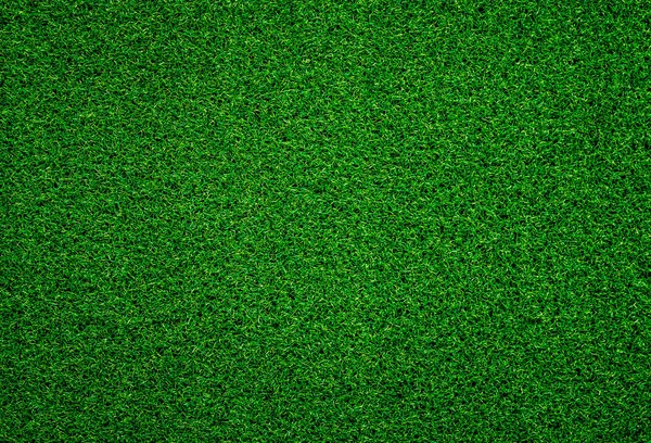 Зеленый Травяной Фон Полный Каркас Листвы Текстуры Поле — стоковое фото