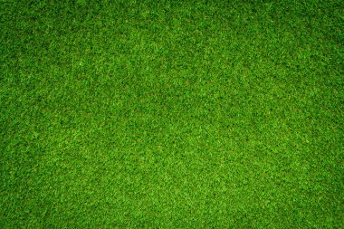 alan arka plan çim yeşil yeşillik çerçeve