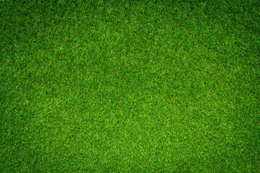 yeşil çimen dokusu arkaplanı
