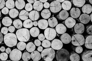 Doku gri ahşap günlükleri arka plan