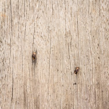 Ahşap doku ve arkaplan 