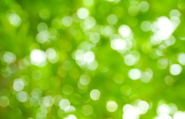 Doğal yeşil bokeh soyut arkaplan