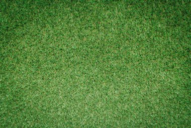 alan arka plan çim yeşil yeşillik çerçeve