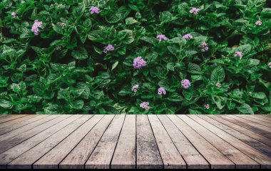 wooden planks on floor and growing green leaves on bush with flowers background clipart