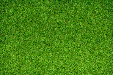 alan arka plan çim yeşil yeşillik çerçeve