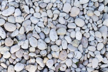 beyaz çakıl taşları arka plan ve doku