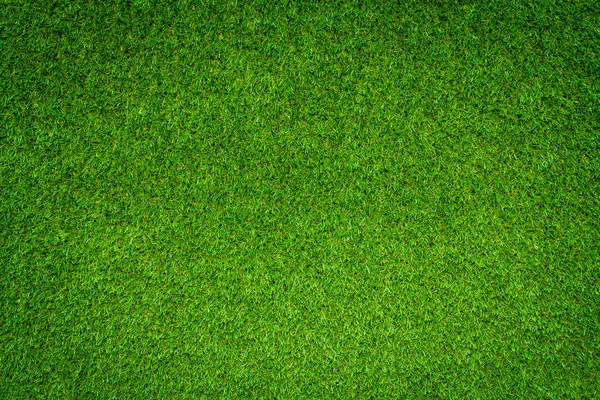 Verde Campo Hierba Fondo Marco Completo Follaje Textura — Foto de Stock