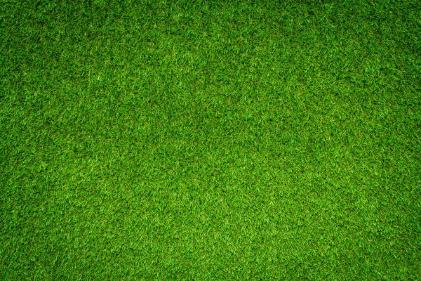 Green Field Grass Background Full Frame Foliage Texture — Stock Photo, Image