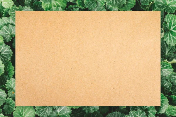 コピースペース用の緑色の葉と紙のカートンブランク — ストック写真