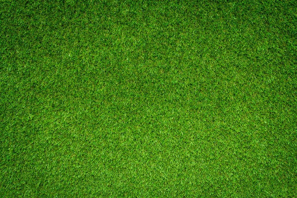 Groene Veld Gras Achtergrond Volledige Frame Gebladerte Textuur — Stockfoto