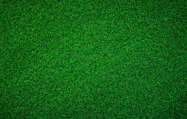 Зелений Фон Трави Повна Текстура Листя Рамки Поле — стокове фото