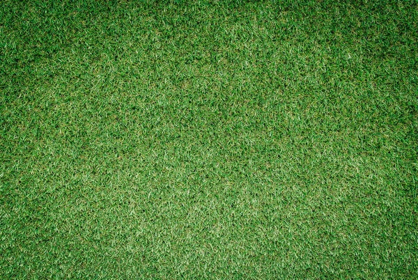 Zelené Pole Travní Pozadí Textura Plným Rámečkem — Stock fotografie