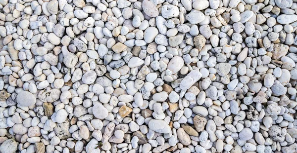 Piedras Playa Blanca Textura Fondo — Foto de Stock
