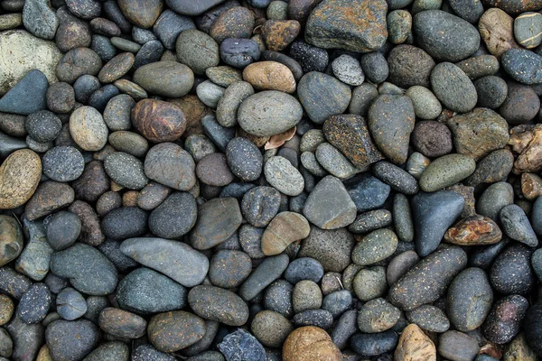 Guijarros Piedras Fondo Textura — Foto de Stock