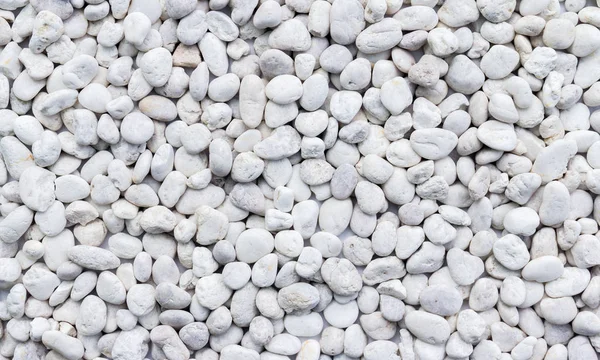 White Pebbles Stones Background Texture — Stock Photo, Image