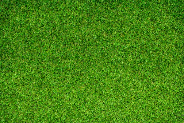 Γρασίδι Πράσινο Χωράφι Πλήρη Υφή Φυλλώματος — Φωτογραφία Αρχείου