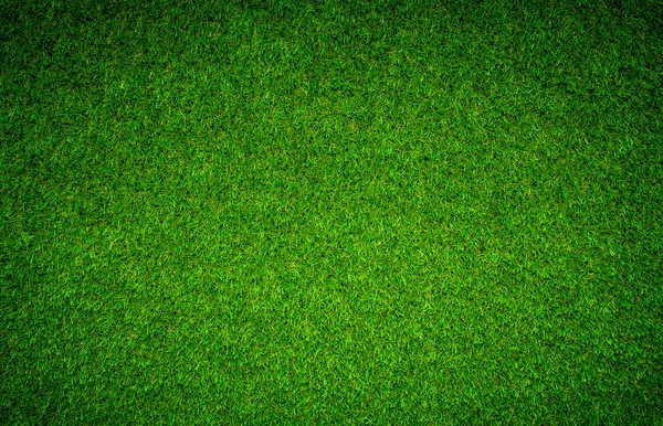 Γρασίδι Πράσινο Χωράφι Πλήρη Υφή Φυλλώματος — Φωτογραφία Αρχείου