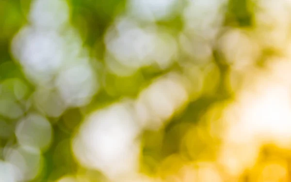 Natural Green Bokeh Abstract Background — Stock Photo, Image