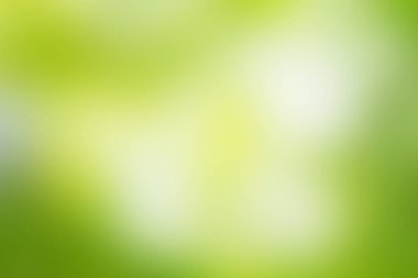 yeşil renkli yaprak doku arka plan 