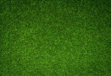 alan arka plan çim yeşil yeşillik çerçeve